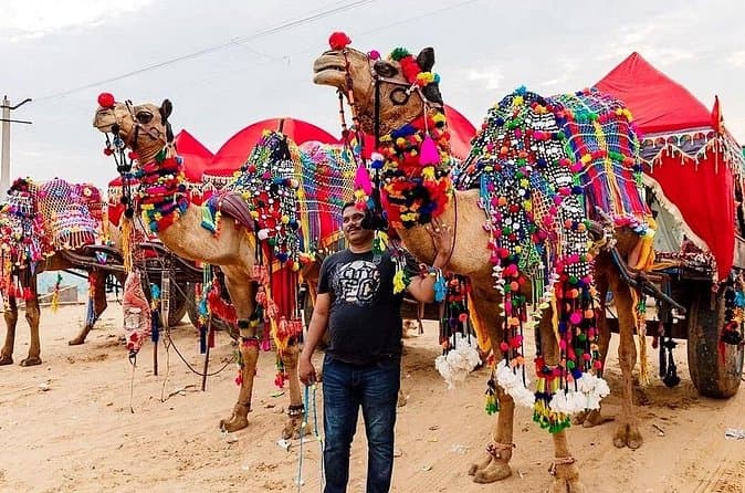 Pushkar Day Trip from Jaipur: Top Tours