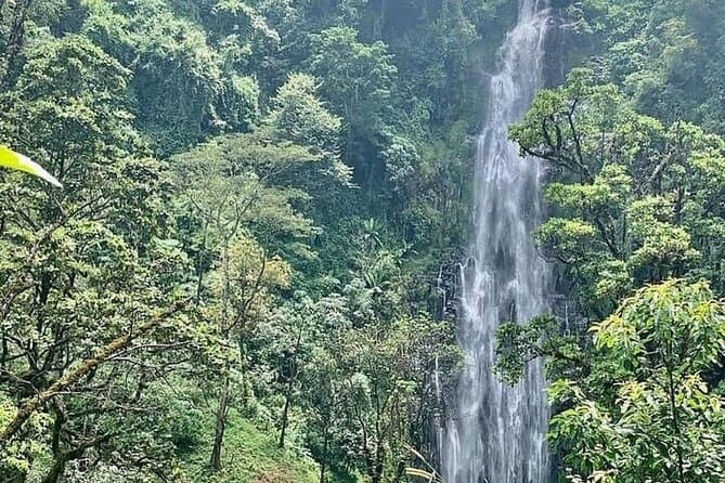 Materuni Falls & Coffee Experience in Arusha