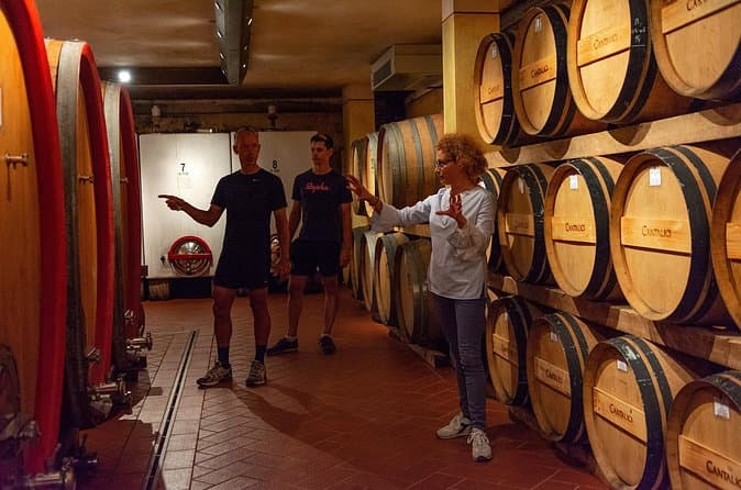 Best Chianti Wine Tours from Lucca