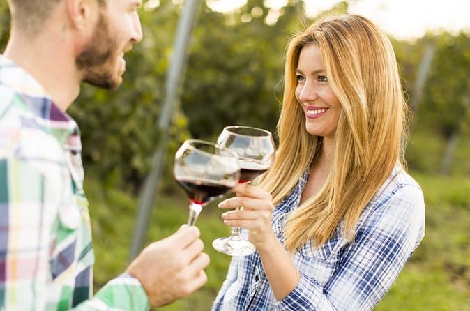 Top-Rated Cretan Vineyard Wine Tours in Chania
