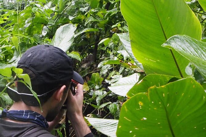 Authentic Amazon Adventures & Leticia Jungle Tours