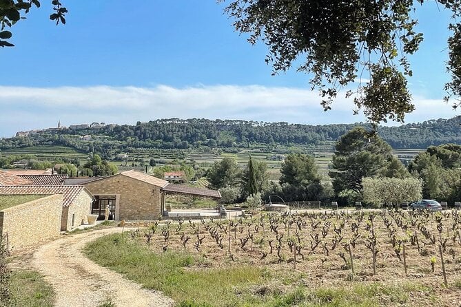 Bandol Wine Tasting