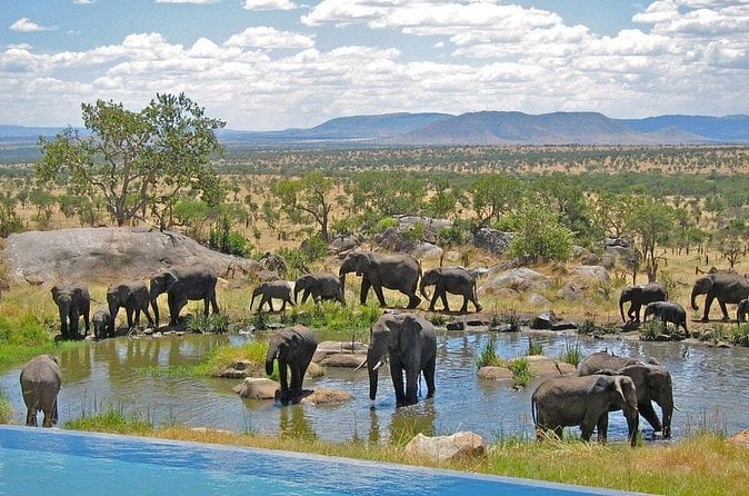 South Africa Overland Tour