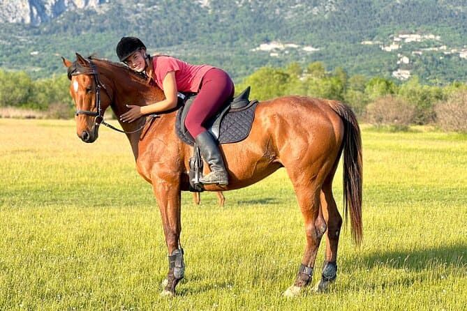 Best Dubrovnik Horseback Riding Tours Compared