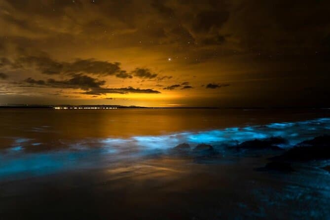 Phang Nga Bay Bioluminescence Tour