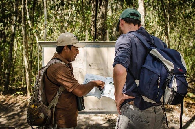 Top-Rated Calakmul Archaeological Site Tours