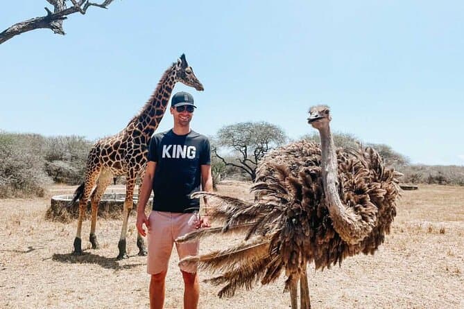 Compare Top Masai Mara Tours from Mombasa