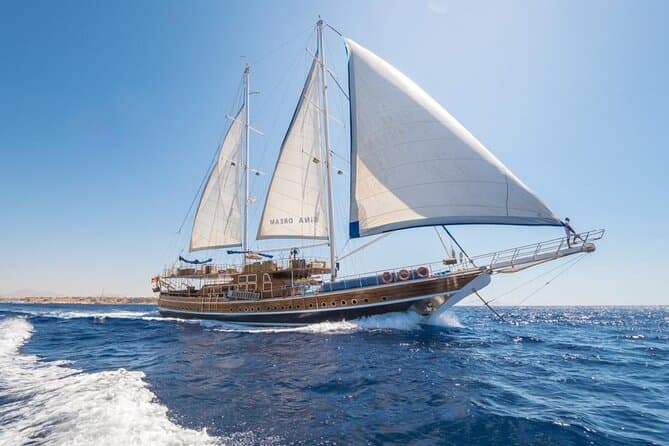 Best Boat Party Experiences in Sharm El Sheikh