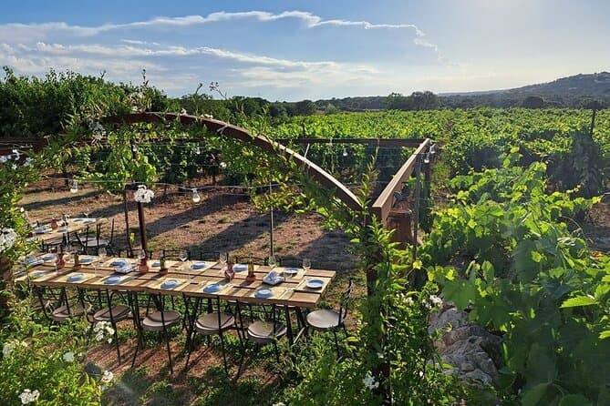 Compare Top Tenute Girolamo Wine Tours