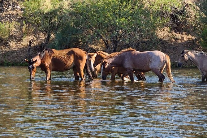 Lower Salt River Rafting