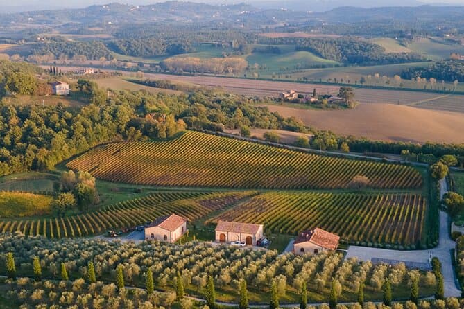 Compare Best Val d'Orcia Wine Tours from Siena