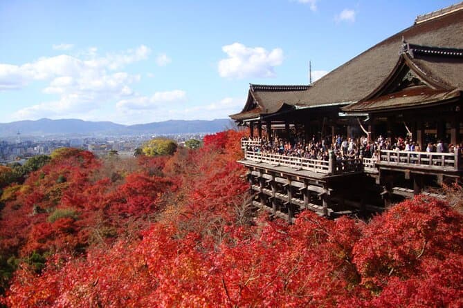 Exclusive Kyoto Private Car Tours & Luxury Sightseeing
