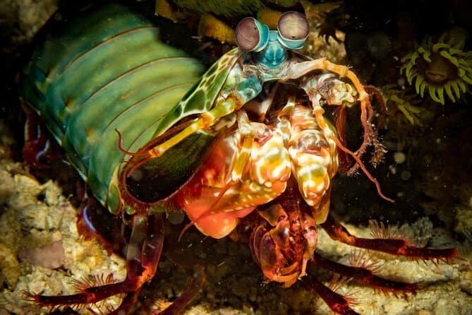 Compare Top Koh Lipe Dive Operators