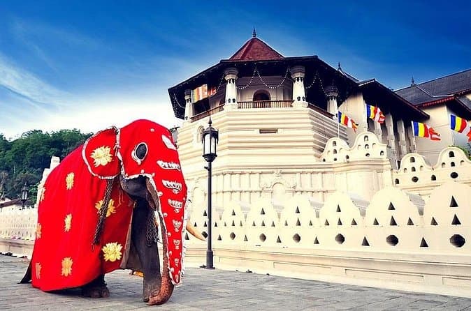 Compare Top Kandy & Nuwara Eliya Tours