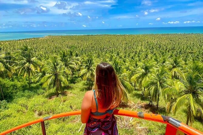 Best Gunga Beach Excursions & Tropical Maceió Adventures