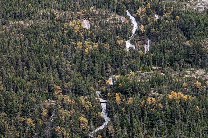 Skagway Trail and Sail: Premier Alaskan Land & Sea Tours