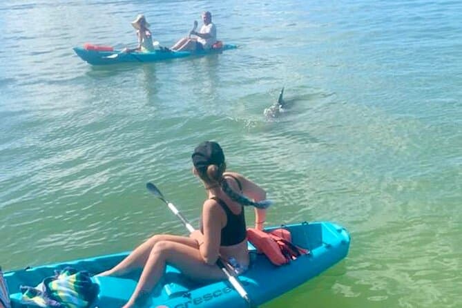 Best Daytona Beach Kayaking Tours & Coastal Adventures