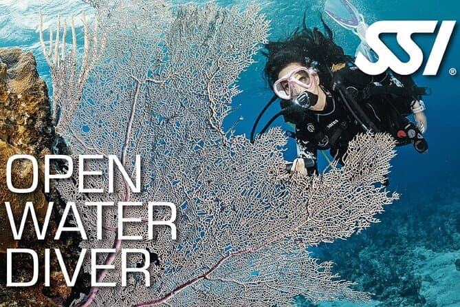 PADI Scuba Diver Course Koh Samui Dive Experience