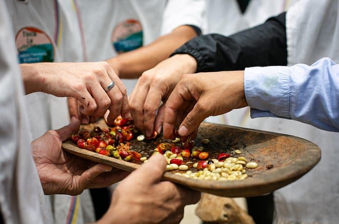 Best-Rated Coffee Farm Tours in Medellín