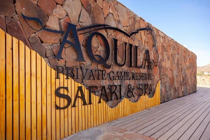 Best Aquila Safari Game Drive Near Cape Town