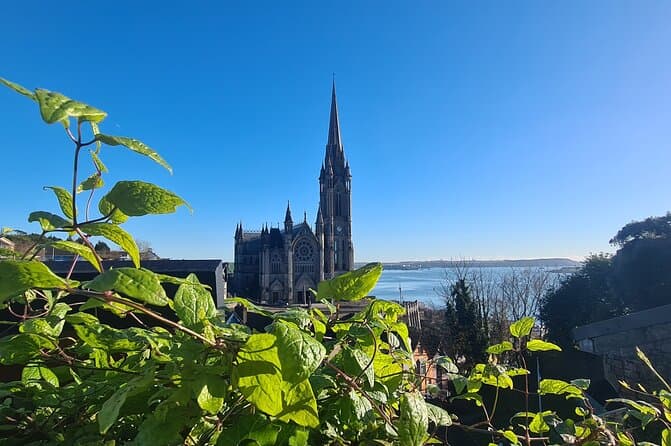 Blarney Castle Tour - Cobh