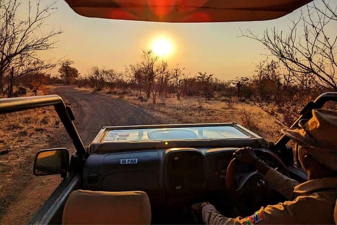 Best Wildlife Safaris: Zambezi National Park Game Drives