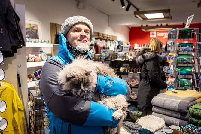 Best Reykjavik Cat Walking Tours