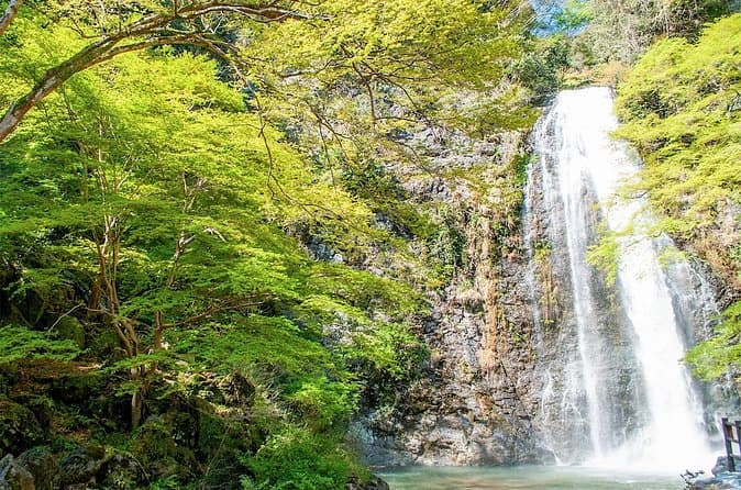 Mino Forest Walk: Nature Tours & Hikes
