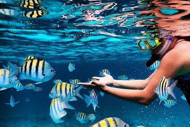 Montego Bay Snorkeling