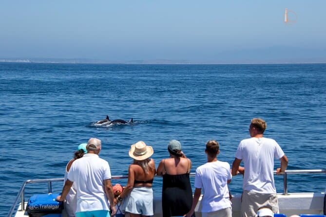 Cádiz Dolphin Cruise: Wildlife at Sea