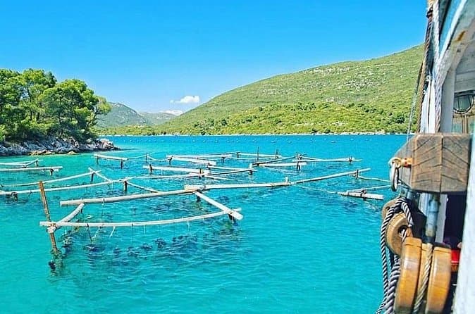 Compare Top Mali Ston Oyster Tours Near Dubrovnik