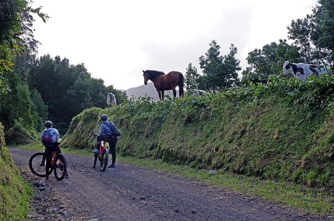 Best Electric Mountain Bike Tours in Sao Miguel