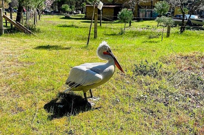 Compare Best Theth National Park Tours from Tirana