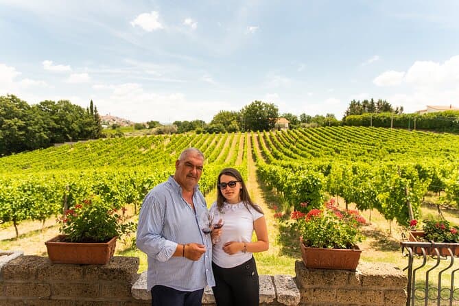 Compare Top Cilento Wine Tours in Salerno