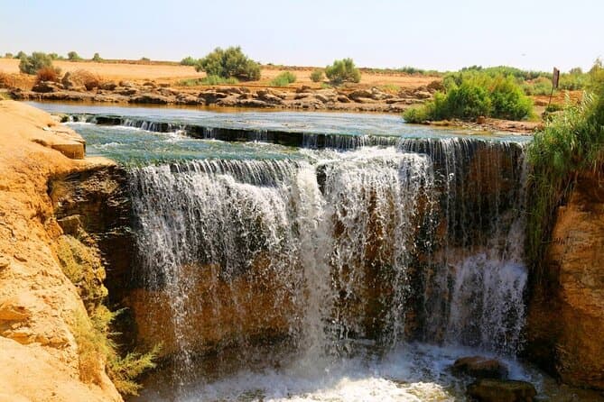 Fayoum Oasis & Wadi Al Rian Day Tour