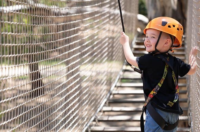 Compare Best Adelaide Treetop Tours & Ziplines