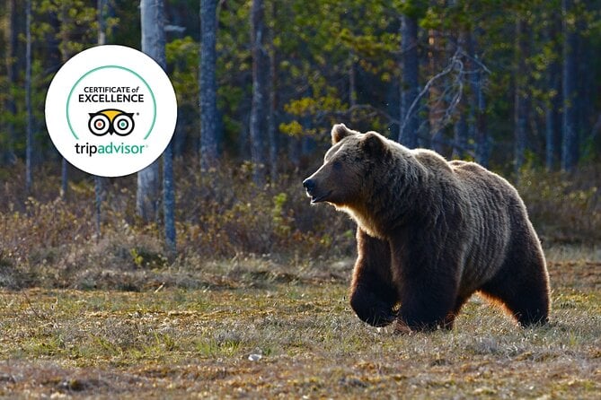 Banff Evening Wildlife Safari
