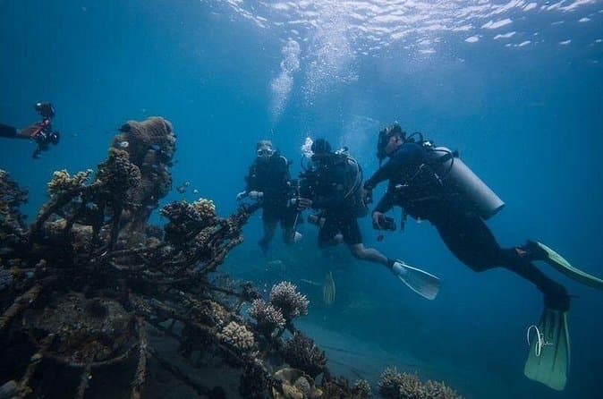 AIDA 2 Freediver Course Pemuteran Travel Experience