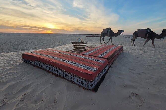 Best Djerba Camel Ride Tours & Prices