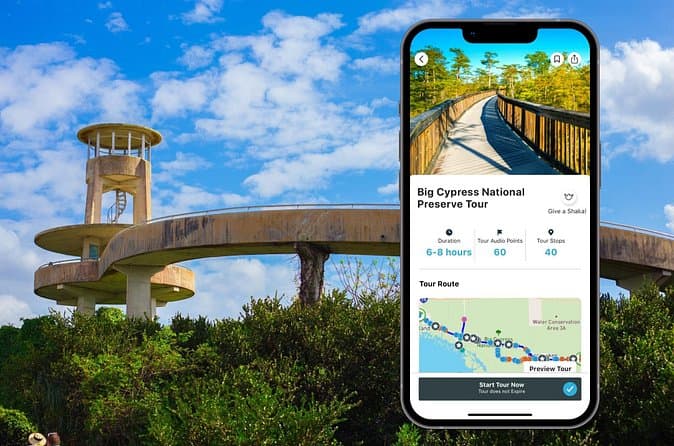 Best Big Cypress Audio Experiences Near Miami