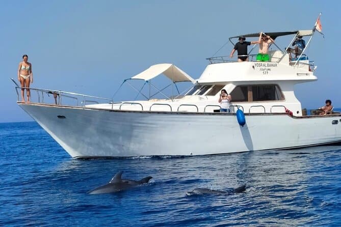 Best Hurghada Speedboat Tours & Red Sea Adventures