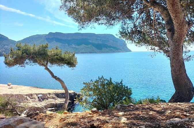 Cassis Calanques Boat Ride