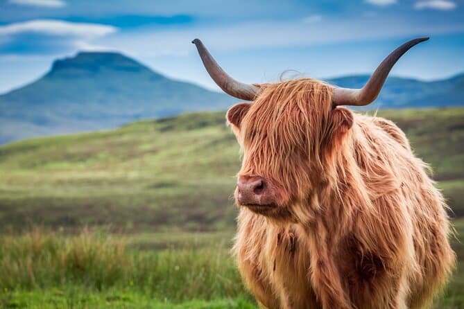 Top-Rated Highland Day Tours from Edinburgh
