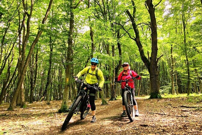 Explore Sibiu on Two Wheels: Best Guided Bike Tours