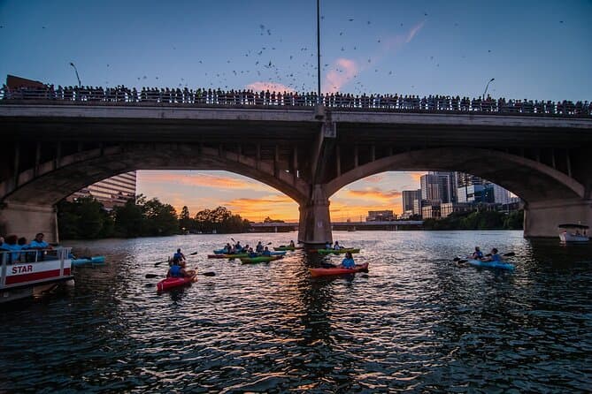 Austin's Iconic Congress Avenue Bridge Bat Experience