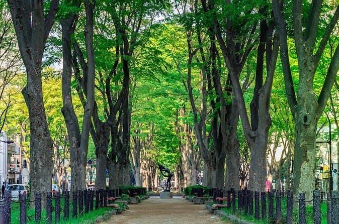 Top-Rated Tours in Sendai City