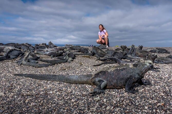 Compare Top Isabela Island Day Trips