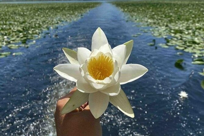 Skadar Lake Boat Tour