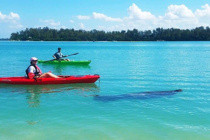 Best Sarasota Bay Boat Tours & Coastal Sightseeing