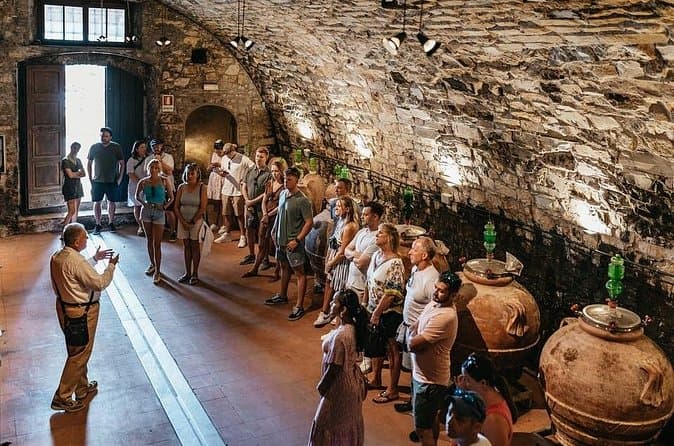 Florence to Chianti Wine Tours & Experiences